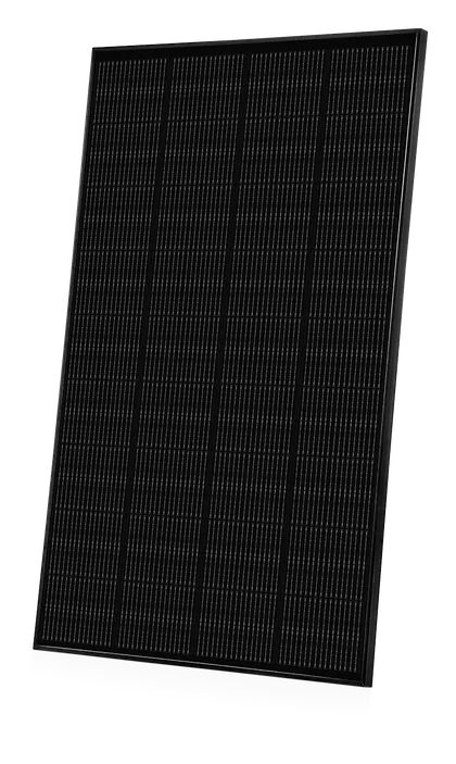 Ray Lite / Full Black Mini-Modul